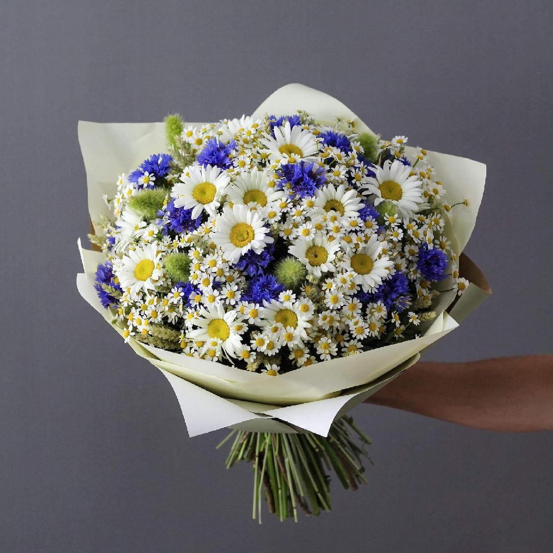 A bouquet of 51 daisies is a symbol of tenderness and joy